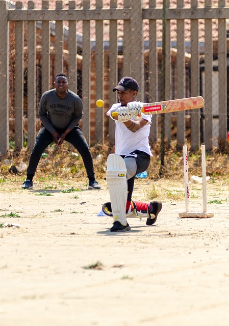 Folk Songs and Cricket: Exploring the Cultural Significance of Cricket in Music